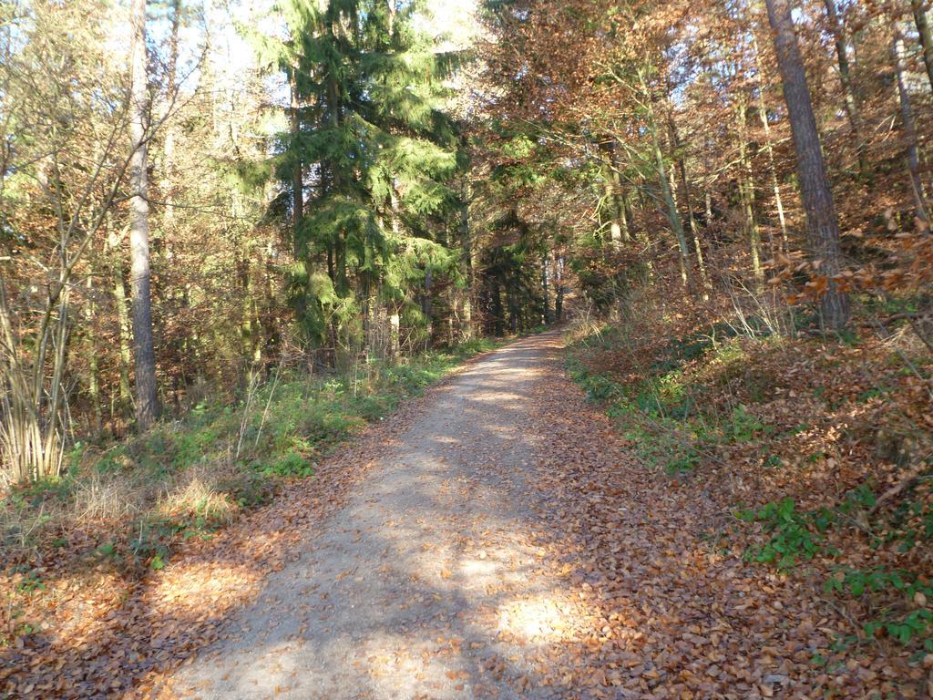 Blockhaus Bayerischer Wald Stamsried Екстер'єр фото
